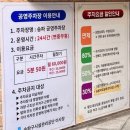 다온앤다올 | 송리단길사주 가은사주앤타로 후기