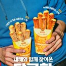 앤티앤스프레즐 스타필드 위례점 | 앤티앤스 프레즐 신메뉴! 슈붕파 저격, 아몬드 슈크림 크림치즈 스틱 후기