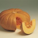 (주)더조은환경 이미지