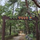 동편마을 입구 건너편 이미지