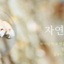 청림농원 이미지