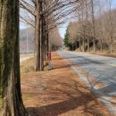 동구 자전거쉼터 이미지