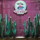 따께리아 라 비다(Taqueria La Vida) | 🍴동대문구, 회기역 / 서울에서 발견한 멕시코 현지타코 ‘따께리아 라 비다(taqueria la vida)'