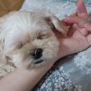 해밀테라스펜션민박 이미지