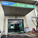 부산 꽃 시장, 엄궁 화훼 단지, 부산 꽃 백화점, 이화 꽃집 후기, 동아 플라워 자재, 부산 꽃바구니...