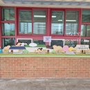 길음단설유치원 이미지