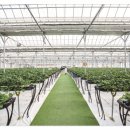 원스탑글로벌 이미지