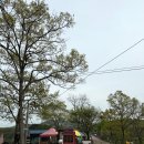용담호강변펜션 | 섬진강 자전거길 종주 1일차 코스 (ft.배고픔 마저 추억이 된 70km) I 연세 JMC라이더스 투어라이딩