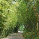 철마숲어린이집 이미지