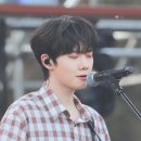 둥실둥실 이미지