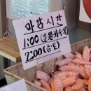 T코인노래연습장 이미지