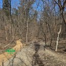 2025 6월 시티투어 | 2026년 왕릉 탐방 1차 투어 7대 세조 광릉의 기록