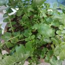 성령상사 이미지