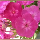 두밀촌 낚시터 이미지