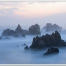신남항 Daum카페