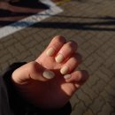 NR-19[무설로]-하-1 | 상반기 갤털(+ 실습후기)