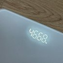 뉴욕 | 뉴욕컷팅제 후기 출산 후 제로바디 관리