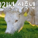 심봤다복권방 이미지