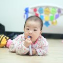 태린