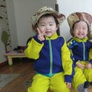 최보람