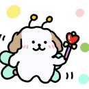 아이디펫 동물병원 이미지