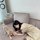 드리안소파