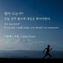은광사 이미지
