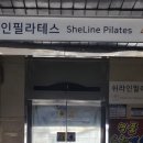 쉬라인필라테스