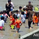 [사구마을]갯벌바지락캐기체험 뉴시스