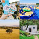 안계공설시장 | 경북 의성 가볼만한곳 빙계계곡 &amp; 마늘축제 득템 후기