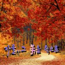채근담(菜根譚)-전집.158장/세상사를 두고 호랑이처럼 으르렁대며 싸우지 말라 이미지
