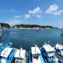 대진항(어판장) 이미지