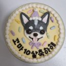 간식세끼 이미지