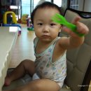 다보포크