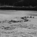 영주수도리김정규가옥 이미지