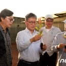 (주)코린 코리아 이미지