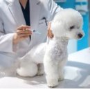 서울동물복지지원센터 동물병원(구로) 이미지