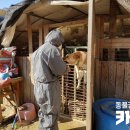 달봉이네 이미지