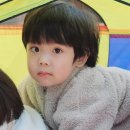 토이즈팝 이미지