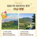 해인사관광호텔 | 여행가는 달 5인 5색 여행 후기 | 합천영상테마파크 해인사 소리길 러닝 당일치기