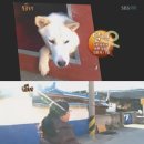 달바위농장 이미지