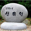 꿈꾸는숲