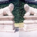 해태