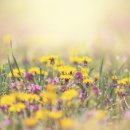 평촌자생한의원 이미지