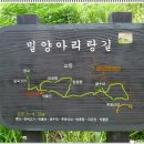 6월15일(수) 산행지 변경=＞ 밀양 아리랑길 트레킹/문수고 09시30분 집결 이미지