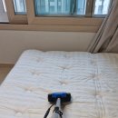 서울매트리스청소 희빛클린에서 꼼꼼하게 라지킹 매트리스 청소한 후기