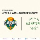 뉴랜드 이미지