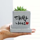 오비베어 이미지