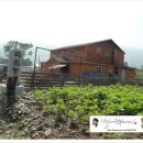 황골민박 이미지