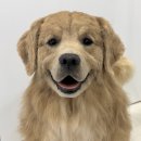 베베몽몽 이미지